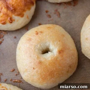 overhead shot of the sourdough bagels recipe