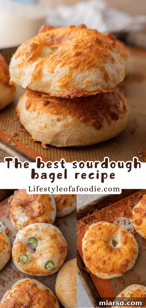 sourdough bagels recipe pinterest pin