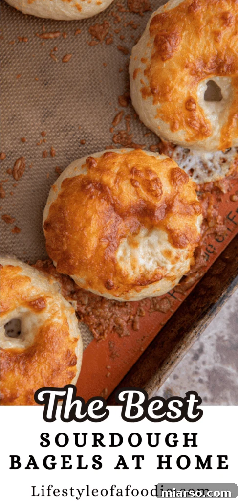sourdough bagels recipe pinterest pin