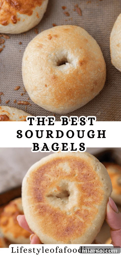 sourdough bagels recipe pinterest pin