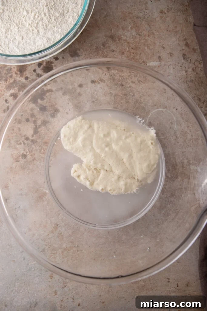 starter in a bowl