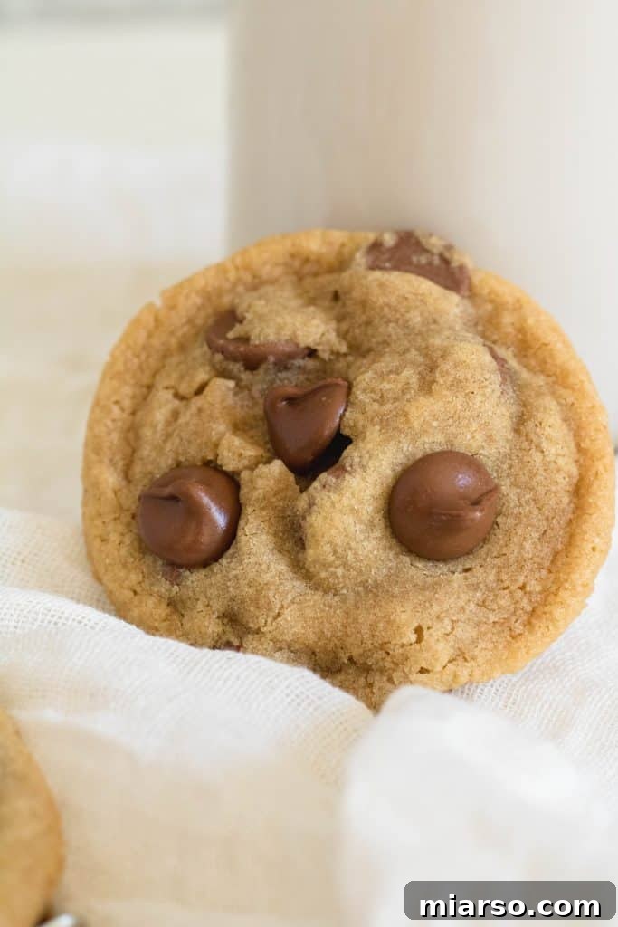 Small batch chocolate chip cookies