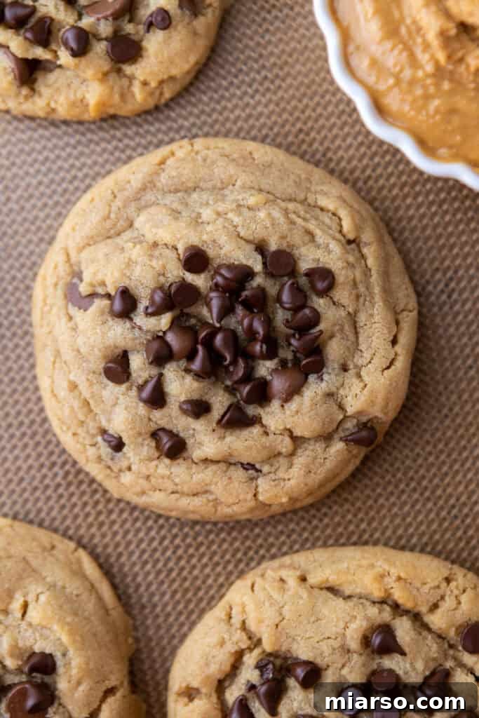 overhead Peanut Butter Chocolate Chip Cookie