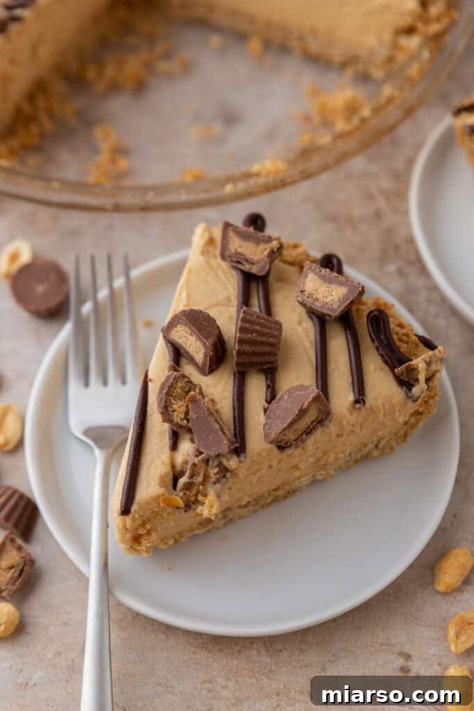 A perfectly sliced no-bake peanut butter pie on a white plate, revealing its creamy filling and graham cracker crust, topped with mini peanut butter cups and chocolate drizzle.