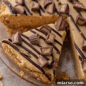 A no-bake peanut butter pie in a pie plate, presented with a pristine appearance and rich color, ready for slicing.