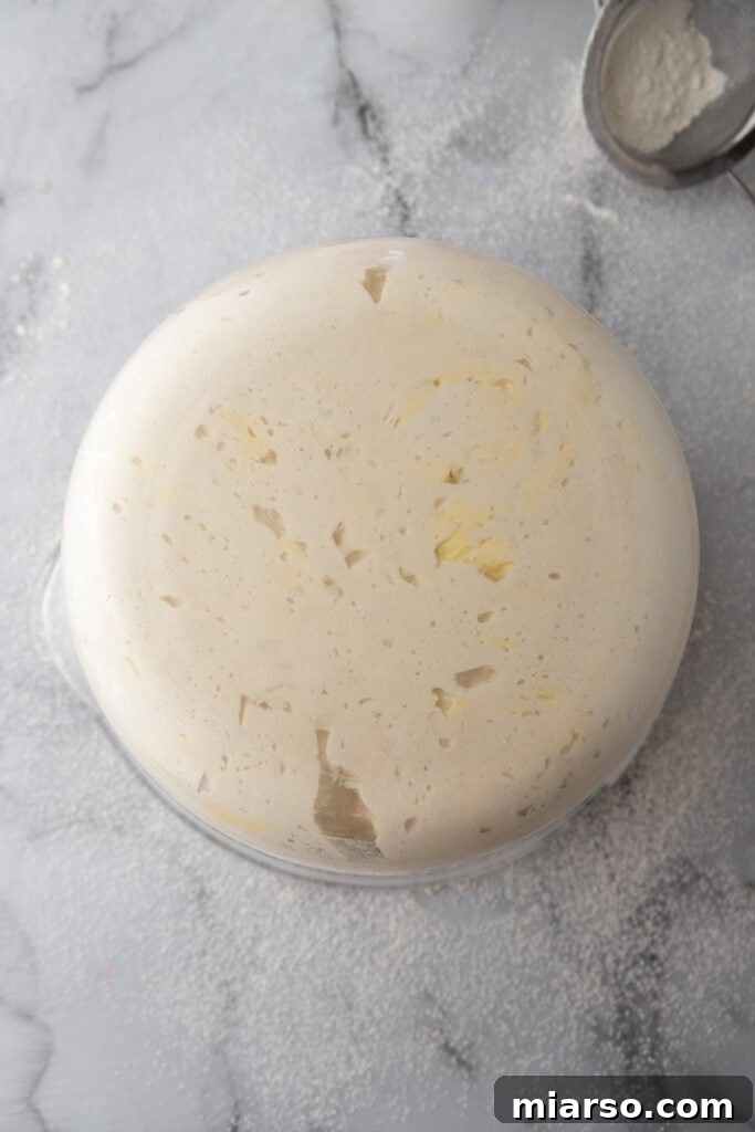 Elevate Your Baking Perfect Sourdough Croissant Bread 14 dough being bulk fermented