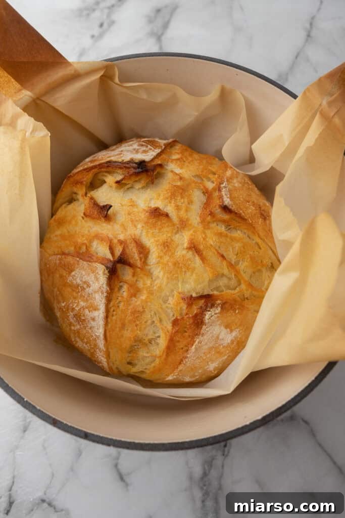 Elevate Your Baking Perfect Sourdough Croissant Bread 20 croissant sourdough bread recipe fully baked in a dutch oven