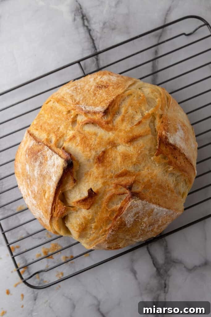 Elevate Your Baking Perfect Sourdough Croissant Bread 21 croissant sourdough bread recipe cooling on a rack