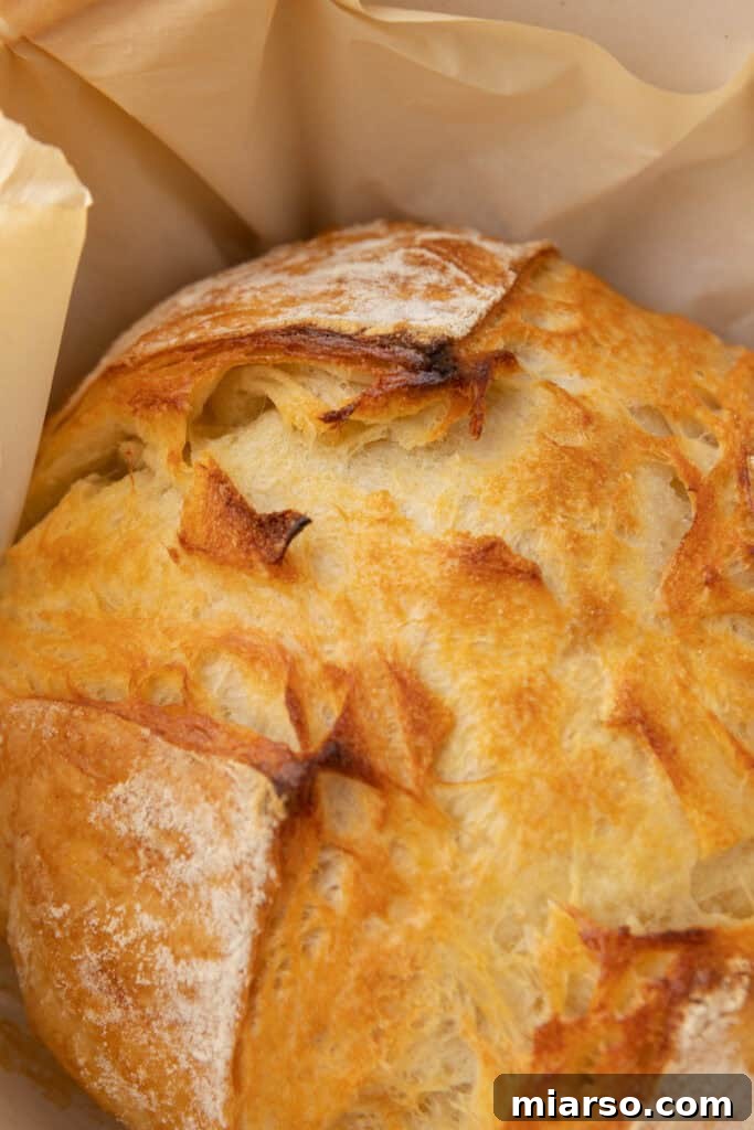 Elevate Your Baking Perfect Sourdough Croissant Bread 25 loaf of Croissant Sourdough Bread Recipe