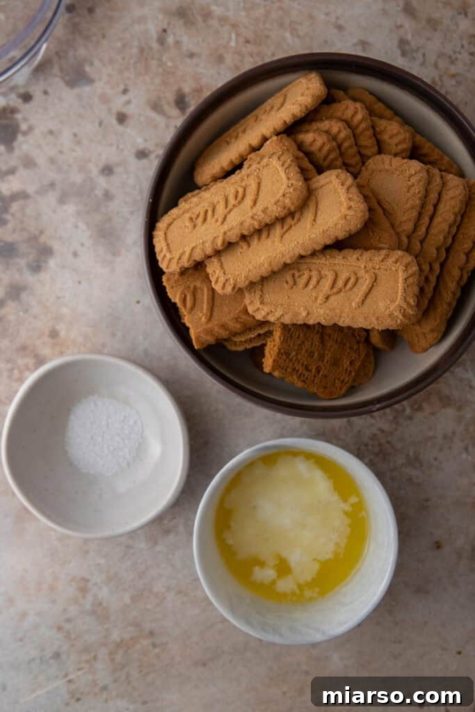 The Secret to a Perfect Biscoff Pie Crust 3 Ingredients for biscoff cookie crust on the counter