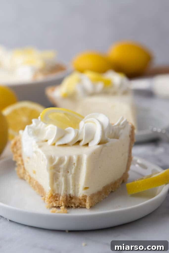 Zesty No Bake Lemon Pie Perfection 12 slice of the no bake lemon pie recipe