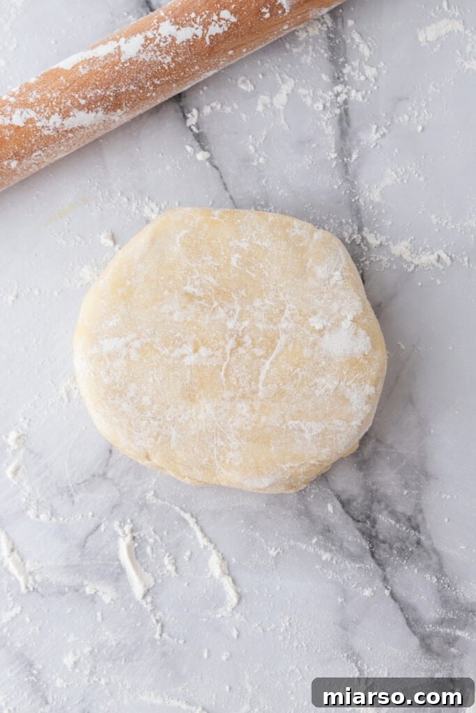 Perfect Flaky Sourdough Discard Pie Crust 12 dough on a lightly floured surface