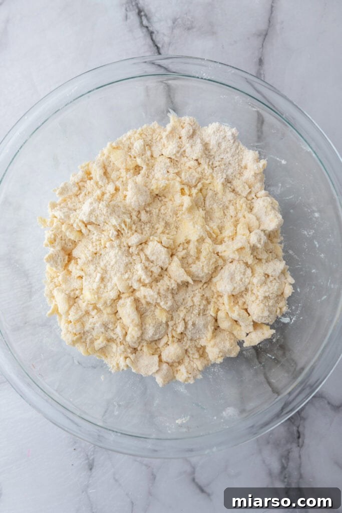 Perfect Flaky Sourdough Discard Pie Crust 7 mixed ingredients in a bowl