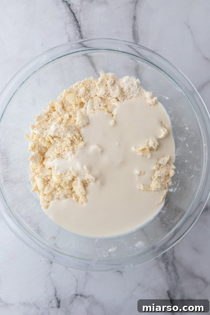 Perfect Flaky Sourdough Discard Pie Crust 8 unmixed ingredients in a bowl