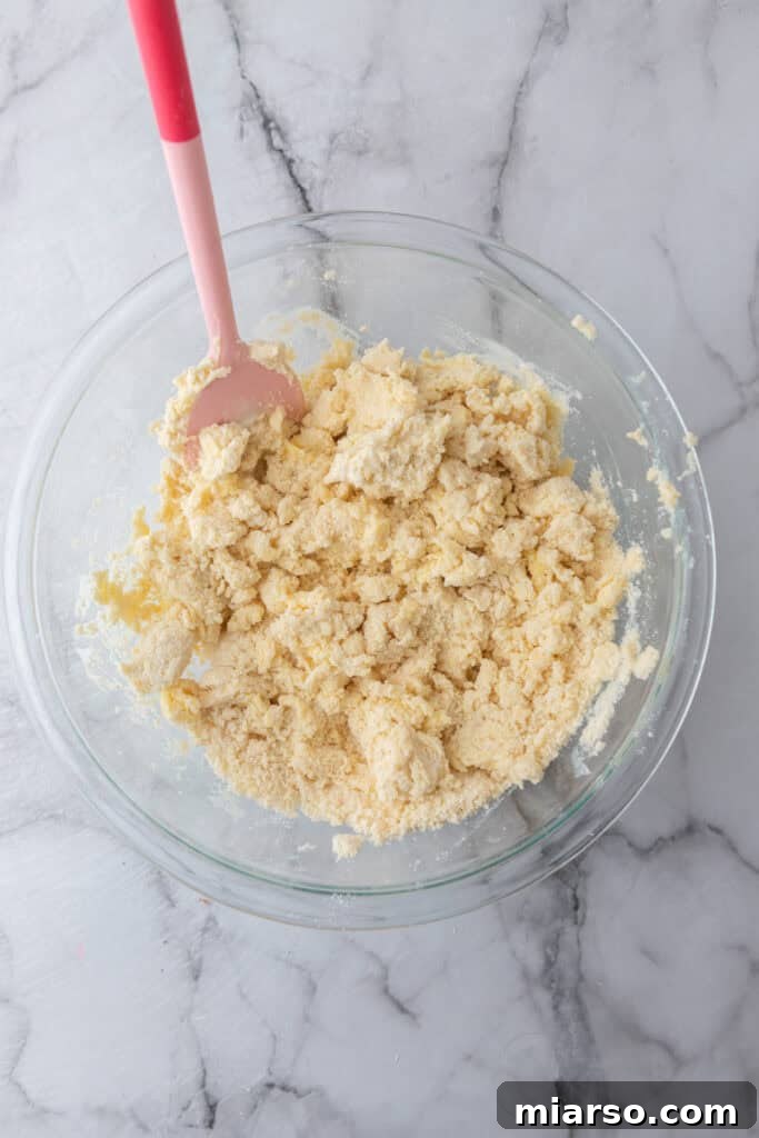 Perfect Flaky Sourdough Discard Pie Crust 9 mixed ingredients in a bowl