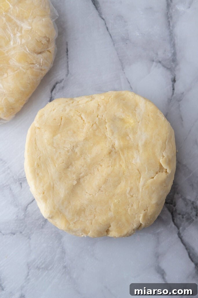 Perfect Flaky Sourdough Discard Pie Crust 10 dough pressed into a flat ball