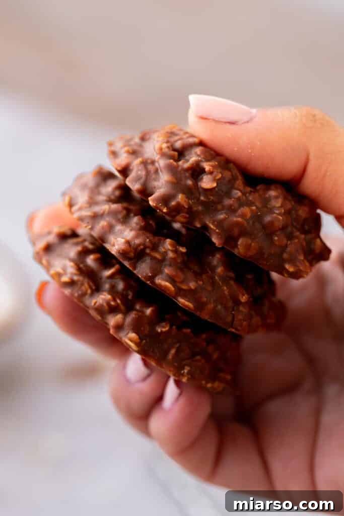 Decadent No Bake Chocolate Oatmeal Treats 12 Hand holding a delicious no-bake chocolate oatmeal cookie