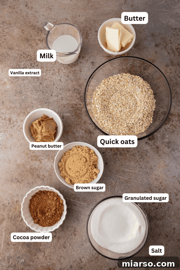 Decadent No Bake Chocolate Oatmeal Treats 3 Collection of fresh ingredients for chocolate oatmeal cookies laid out on a kitchen counter