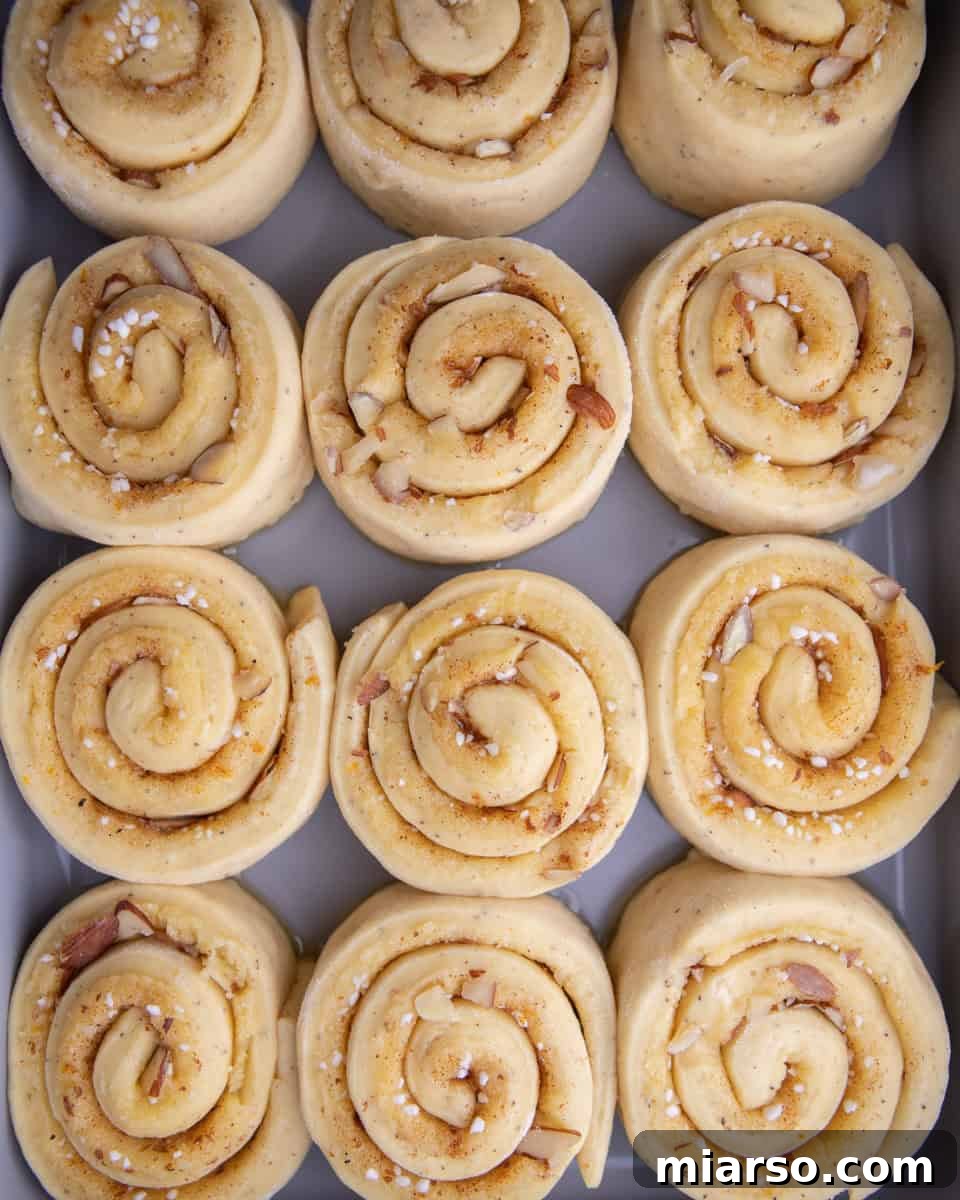 Irresistible Almond Croissant Cinnamon Rolls: Bakery-Soft and Buttery 17 Fully proofed cinnamon rolls ready for oven