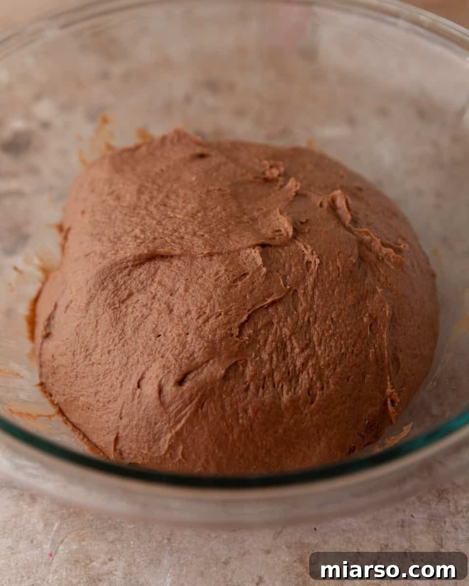 Smooth chocolate cinnamon roll dough after mixing and kneading