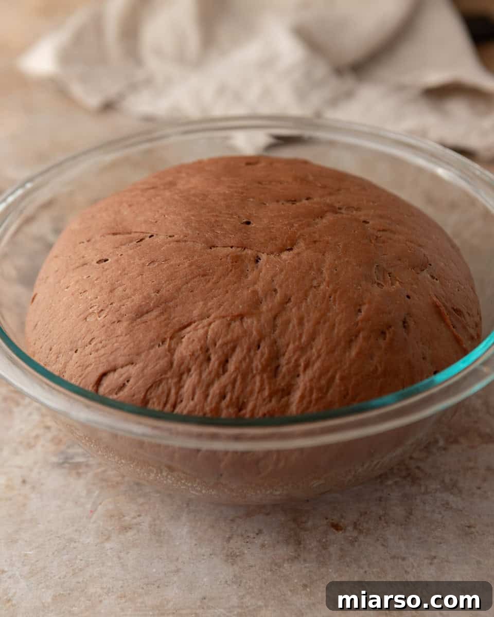 Chocolate cinnamon roll dough after first rise in a glass bowl