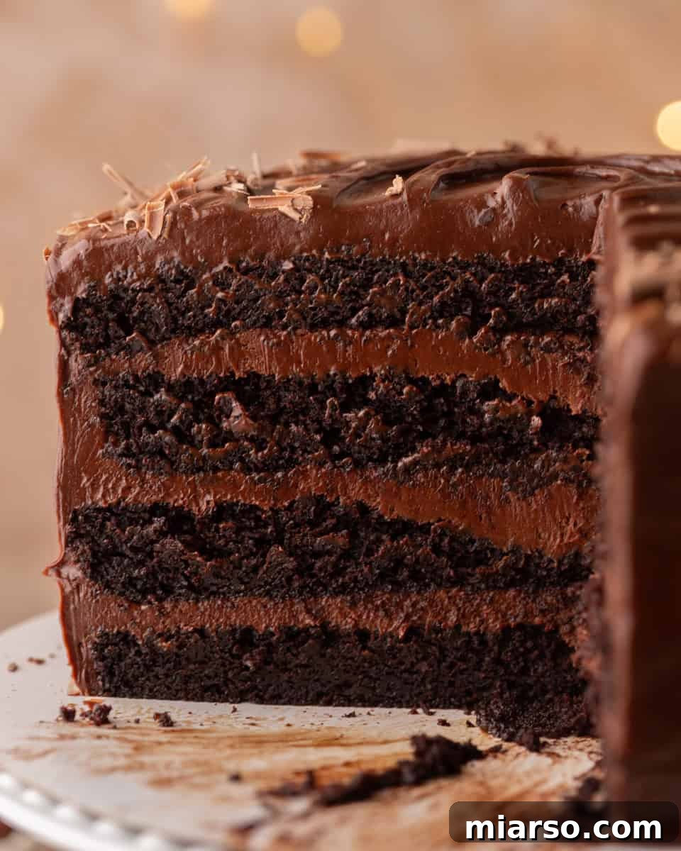 Close-up of layered chocolate beet cake interior