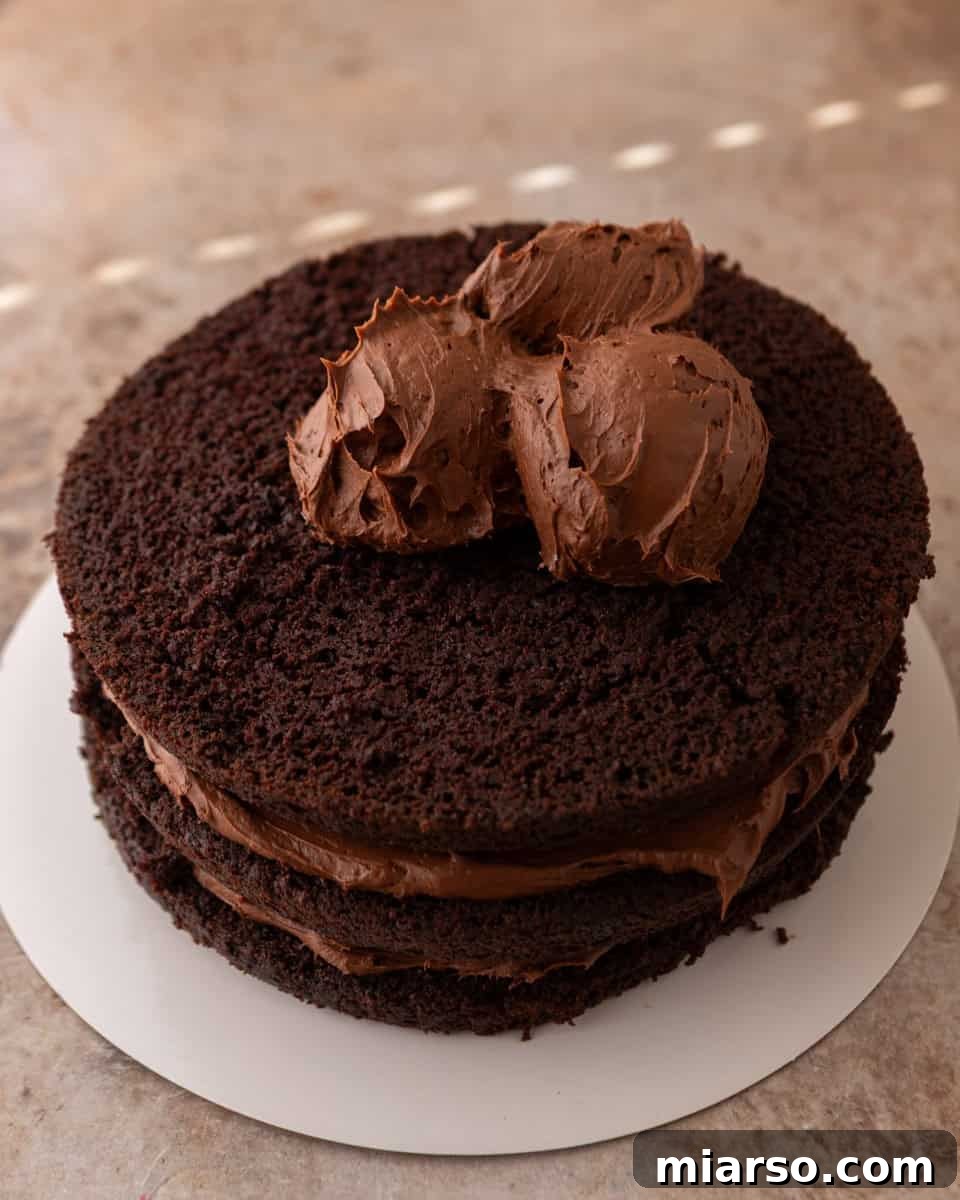 Chocolate beet cake stacked with frosting between the layers