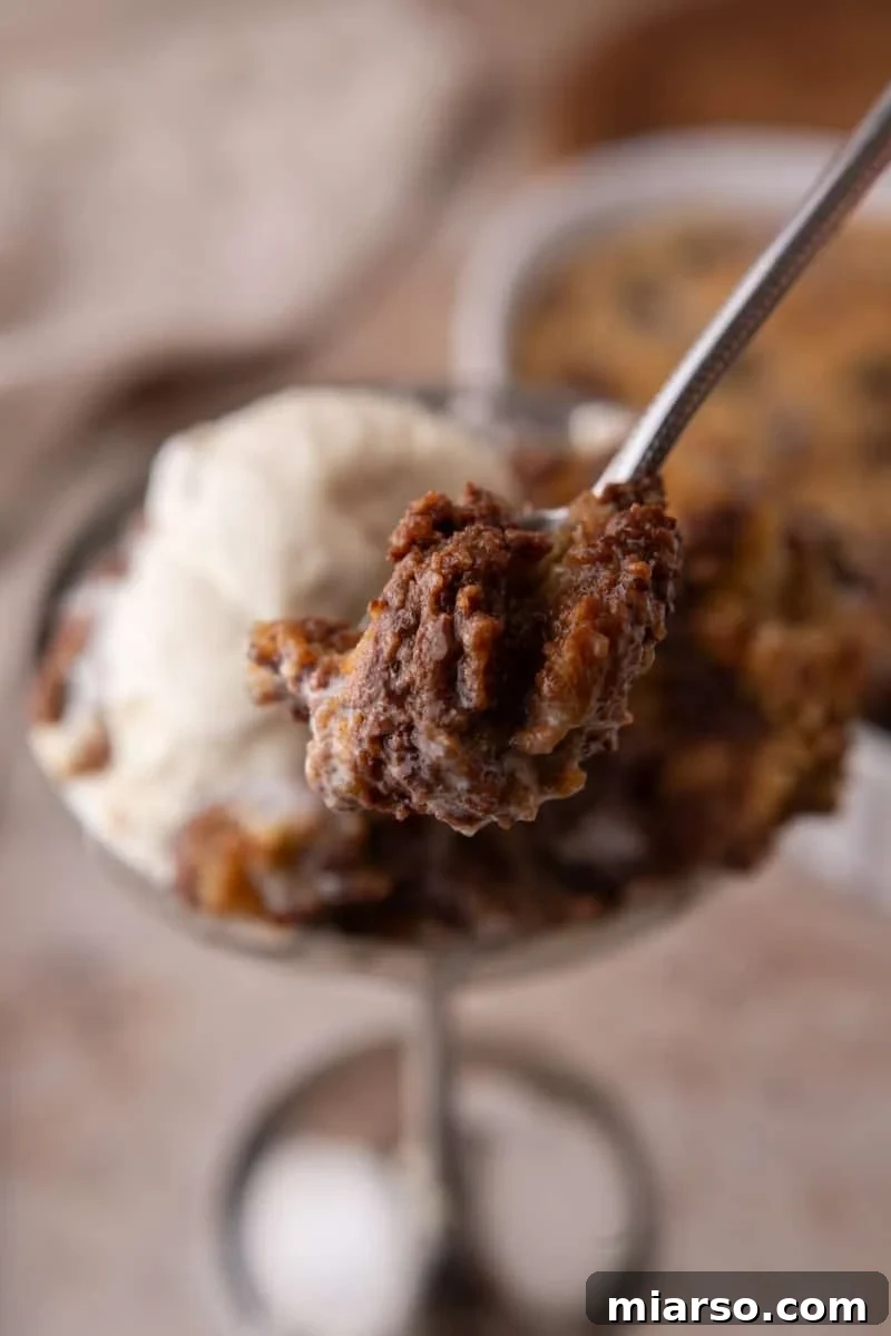 Close-up spoonful of gooey chocolate chip cookie and melted chocolate
