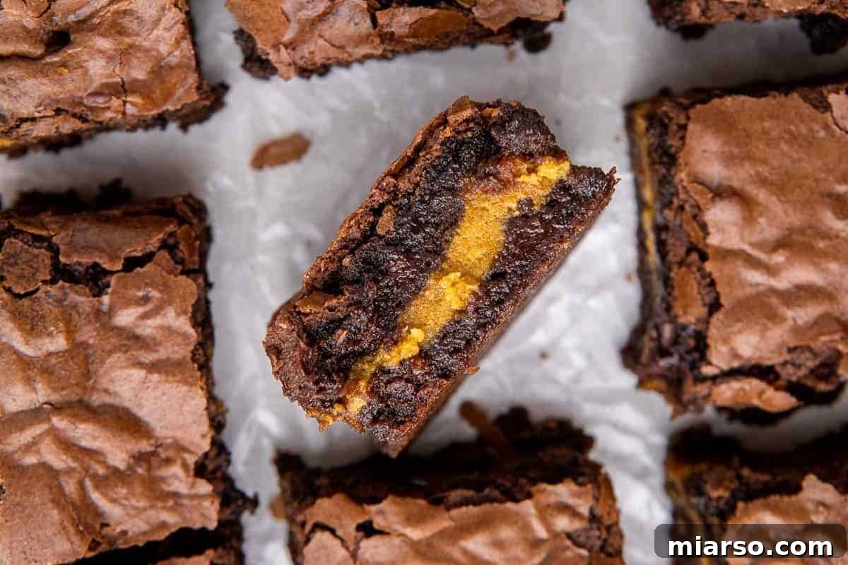 Delicious pumpkin cheesecake brownies, expertly sliced into squares, with one piece tilted to reveal the spiced pumpkin cheesecake layer beautifully running through the center of the fudgy chocolate brownie.