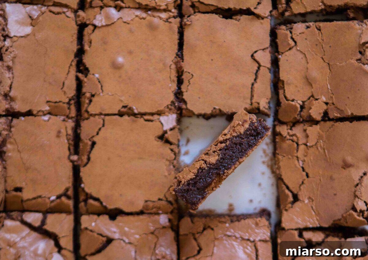 Overhead view of perfectly sliced chewy cocoa powder brownies, with one piece tilted to reveal its thick, fudgy center and a beautifully crinkly meringue-like top.
