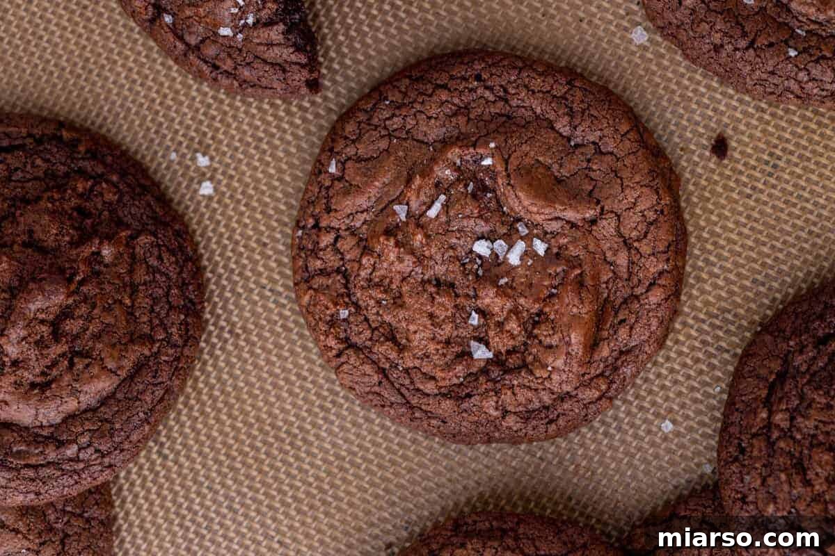 Overhead view of delectable fudgy brownie cookies with perfect crinkly tops and a delicate sprinkle of flaky sea salt, elegantly arranged on a silicone baking mat.