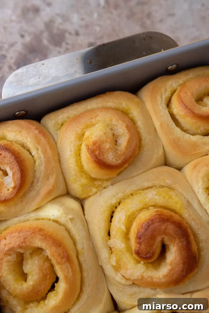 Freshly baked lemon rolls golden brown in a grey baking pan straight from the oven
