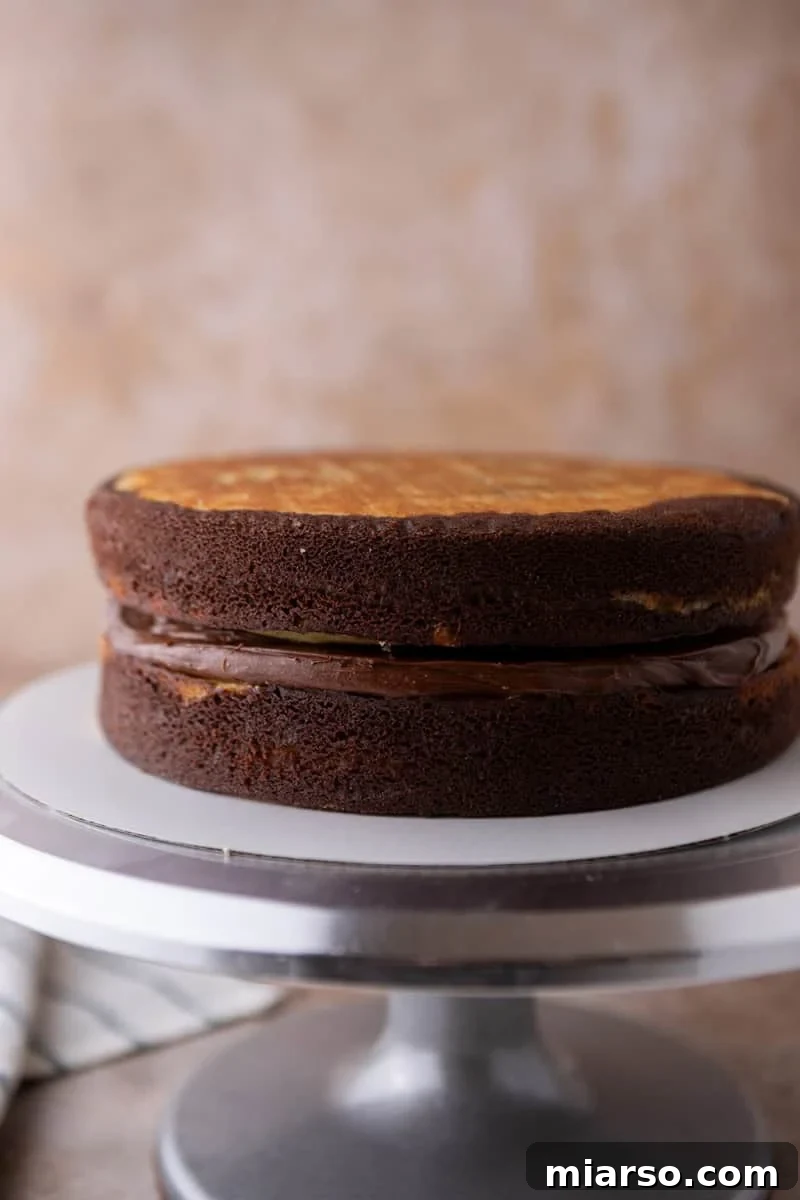 Ultimate Moist Marble Layer Cake with Rich Chocolate Cream Cheese Frosting 11 Two baked marble cake layers stacked on a cake stand with chocolate cream cheese frosting between the layers