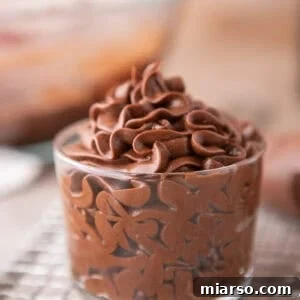 Velvety Chocolate Cream Cheese Indulgence 10 Chocolate cream cheese frosting piped into a glass jar showing smooth, glossy swirls