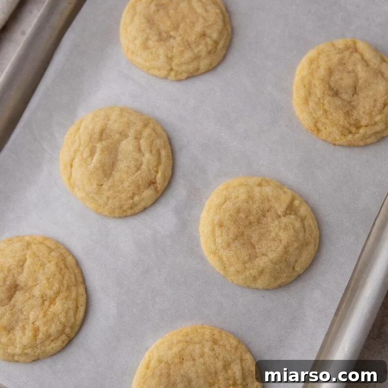 Freshly baked lemon sugar cookies cooling on a parchment-lined baking sheet.