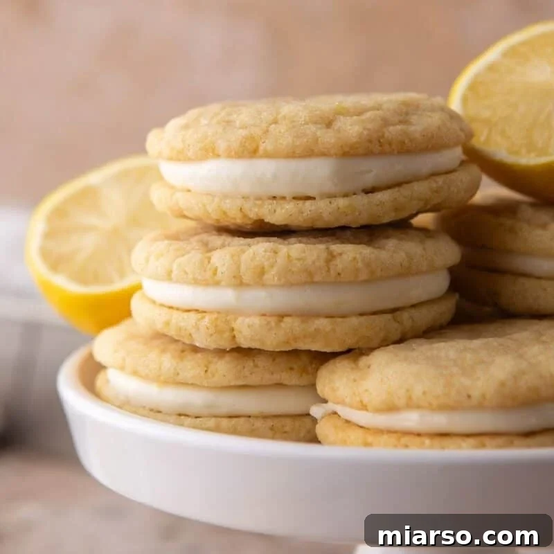Freshly baked lemon sugar cookies cooling on a parchment-lined baking sheet.