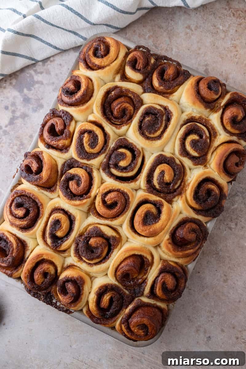 Freshly baked mini cinnamon rolls in a sheet pan with golden tops and visible cinnamon swirls