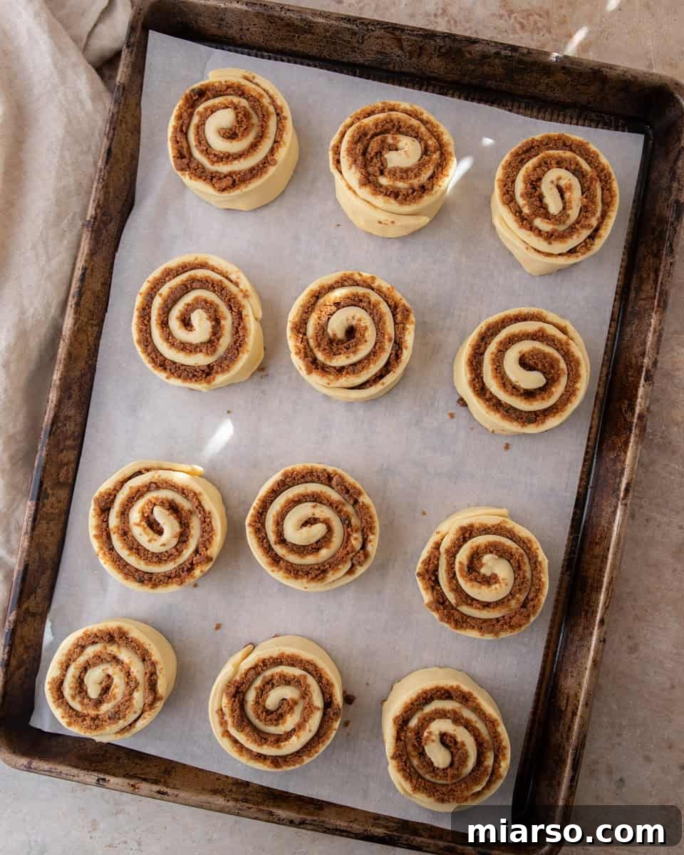 Twelve unbaked cookie butter cinnamon rolls spaced apart on a parchment-lined sheet pan