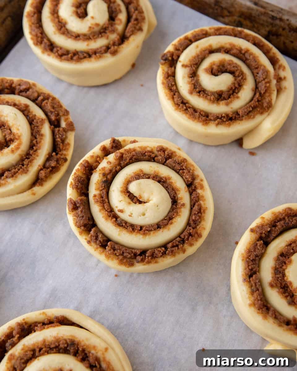 Close-up of unbaked Biscoff cinnamon roll spirals spaced apart on parchment paper
