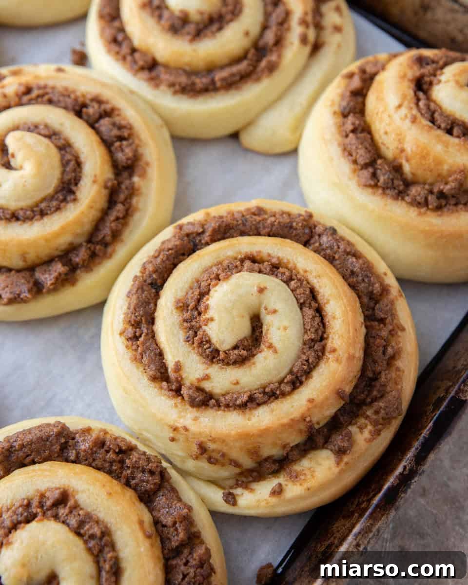 Freshly baked cookie butter cinnamon rolls with golden caramelized edges on a sheet pan
