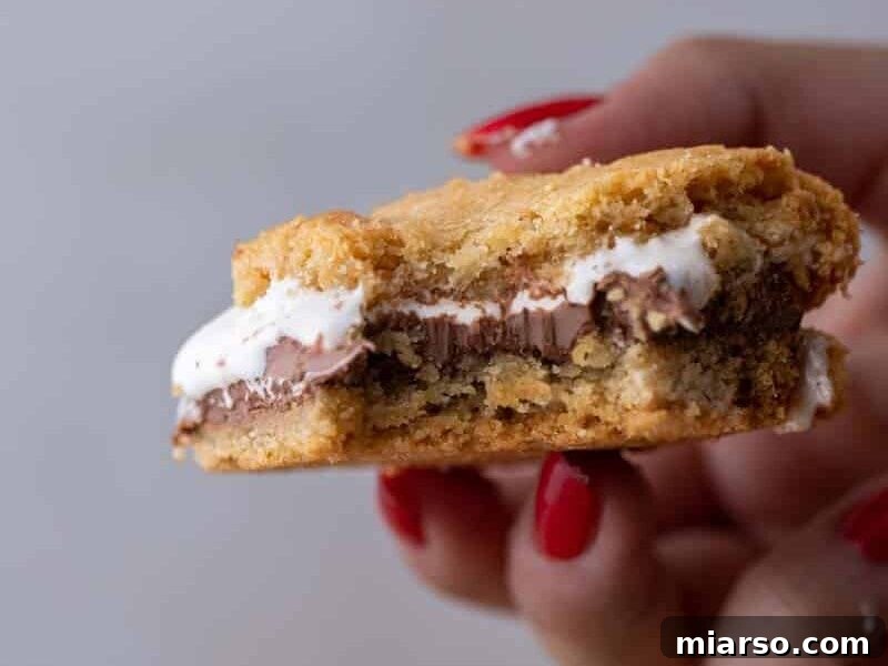 Hand holding a gooey s'mores cookie bar with melted chocolate and toasted marshmallow.