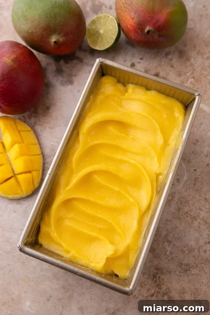  Freshly churned mango sorbet swirled into a metal loaf pan