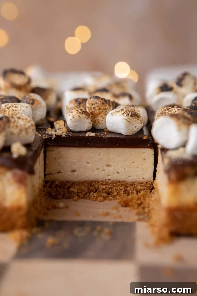 Cross-section of a s'mores cheesecake bar showing graham crust, marshmallow cheesecake, chocolate ganache, and toasted marshmallow topping