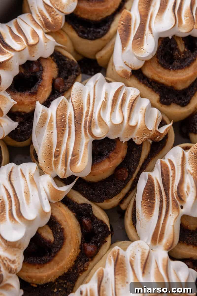 Close up of baked s'mores cinnamon rolls topped with torched golden Swiss meringue