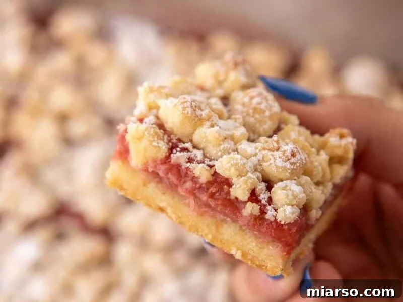 Tangy Rhubarb Crumble Bars with Oat Streusel 12 A hand with blue nails holding a single rhubarb crumble bar close up, showing the jammy filling and buttery crumble layers