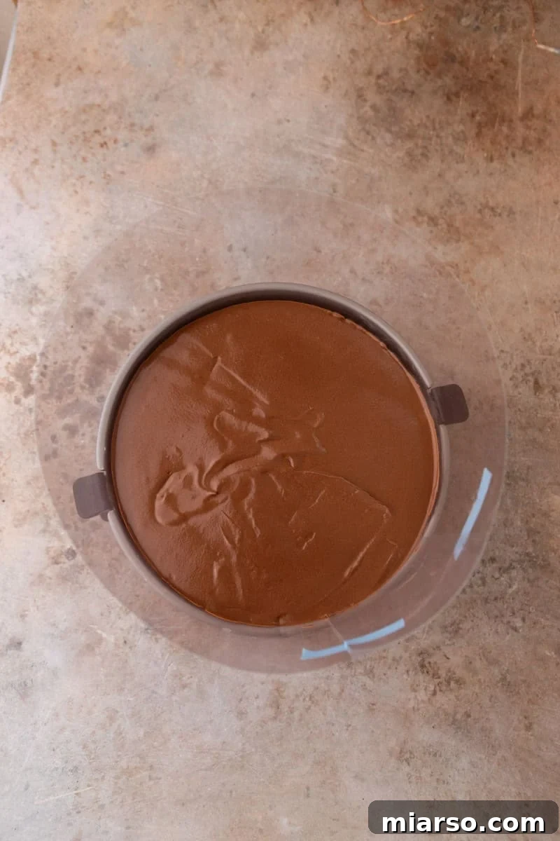 Decadent Chocolate Mousse Cake Recipe 12 Chocolate mousse poured over the cake layer inside the springform pan with acetate collar, smoothed flat on top