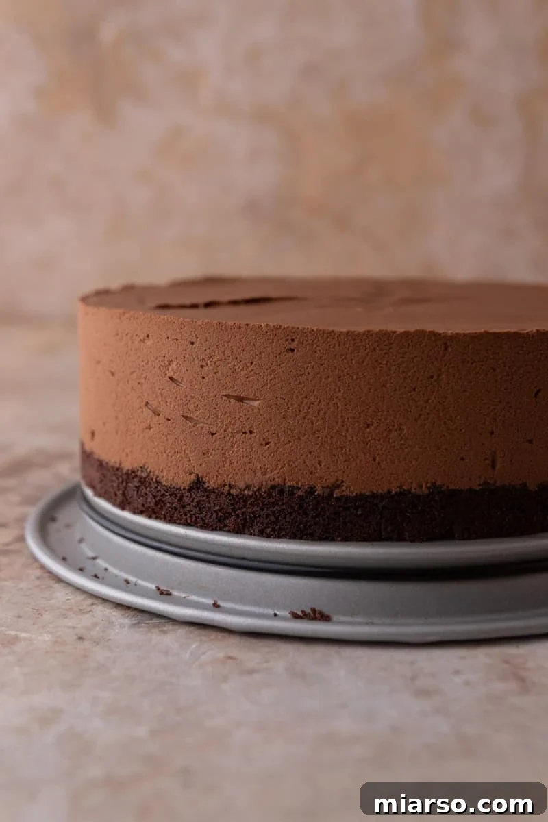 Decadent Chocolate Mousse Cake Recipe 13 Unmolded chocolate mousse cake showing perfectly smooth sides from the acetate collar, with the dark cake layer visible at the base