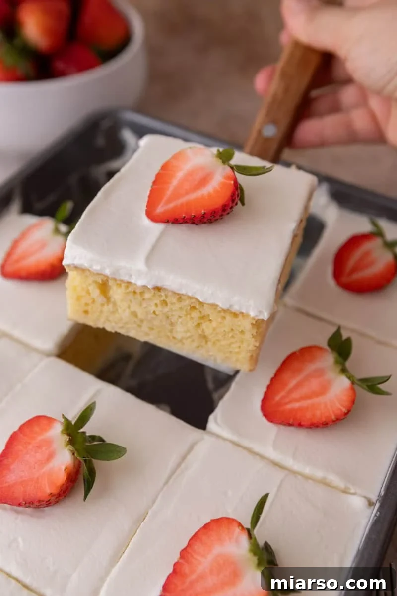 Slice of tres leches cake being lifted with a cake server from a full pan of frosted squares topped with strawberries