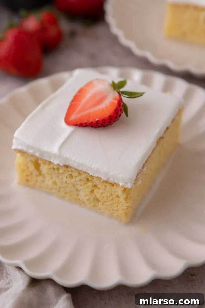 Plated slice of tres leches cake topped with whipped cream and a fresh strawberry