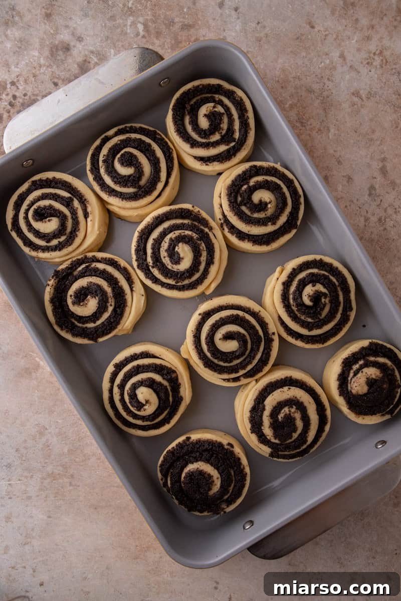 Oreo-Stuffed Cinnamon Rolls with Cream Cheese Glaze 9 Unbaked rolls arranged in a baking pan before their second rise